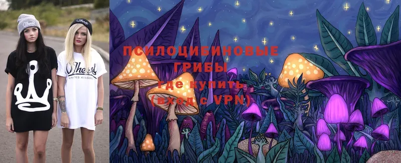 Псилоцибиновые грибы Magic Shrooms  Можайск 